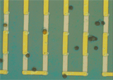Linear magnetic sensor array with magnetic microparticles